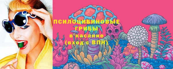 шишки Армянск