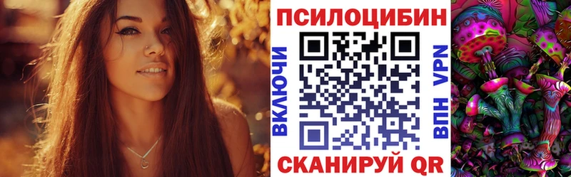 Псилоцибиновые грибы Cubensis  Купить где  Красный Сулин 